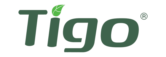 tigo